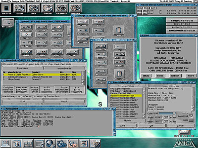 amigazas07.jpg