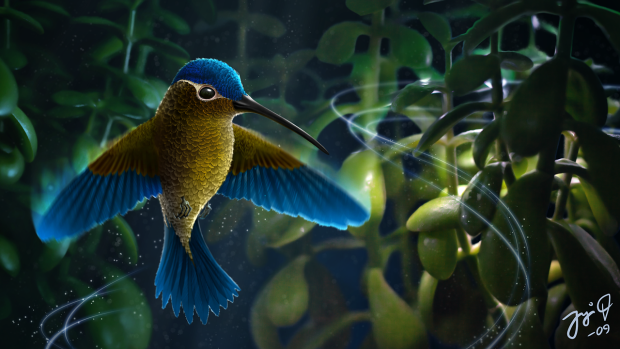 asm09hummingbird.png asm09hummingbird.png