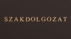 szakdoga.jpg